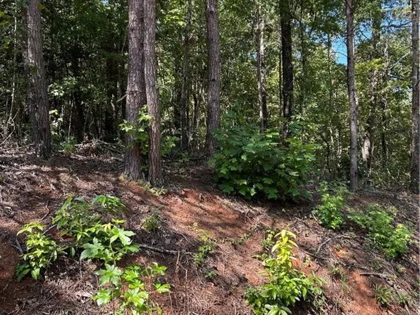 Na Fowler St, Liberty, SC 29657