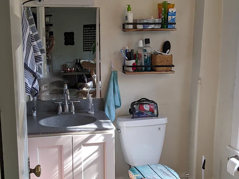 207-209 Delaware Ave #5 — Photo 14