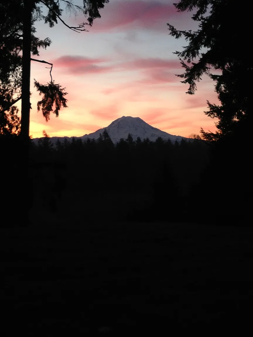 3315 163rd St E photo 1