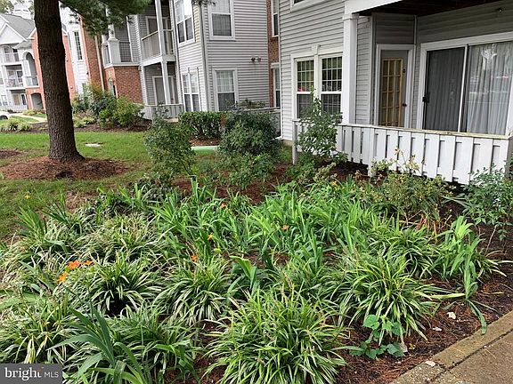 2nd image of 4402 Silverbrook Ln APT D003