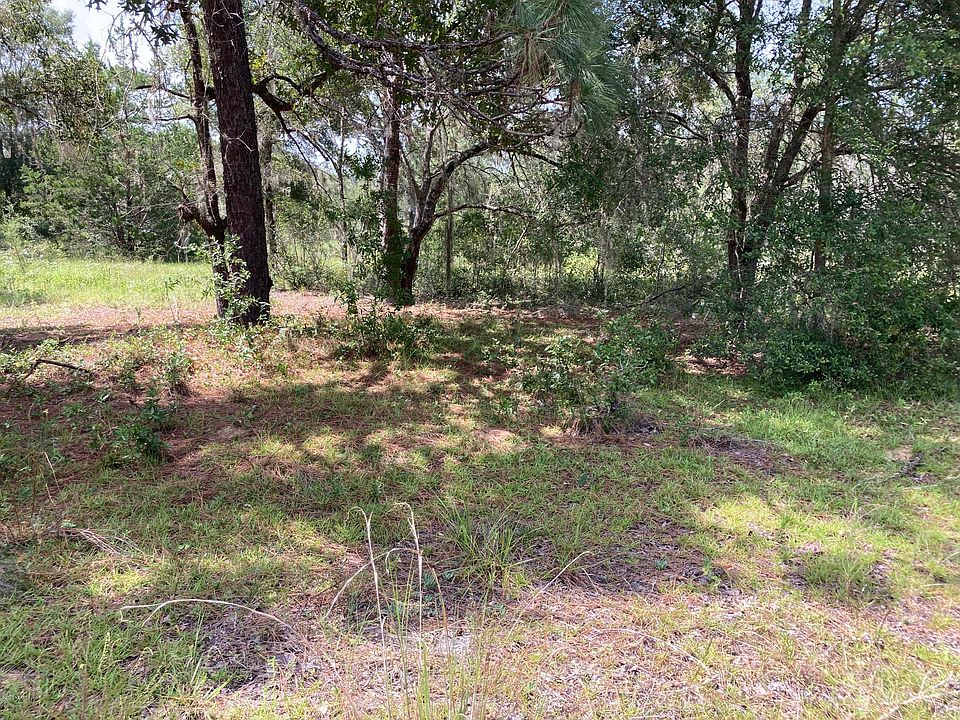 2nd image of 207 Bud Dr