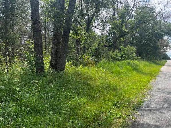 6864 S Nelson Rd, Idlewild, MI 49642