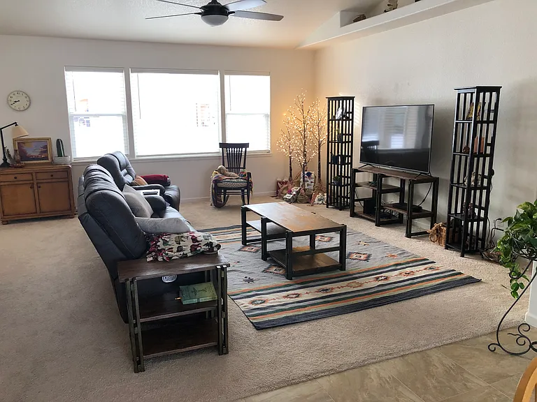 421 Gold Canon Rd — Photo 4