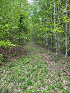 0 Route 65 Rd, Flatwoods, WV, 26621