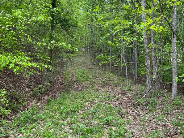 0 Route 65 Rd, Flatwoods, WV 26621