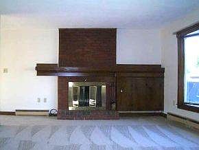 LR fireplace w/bookshelves