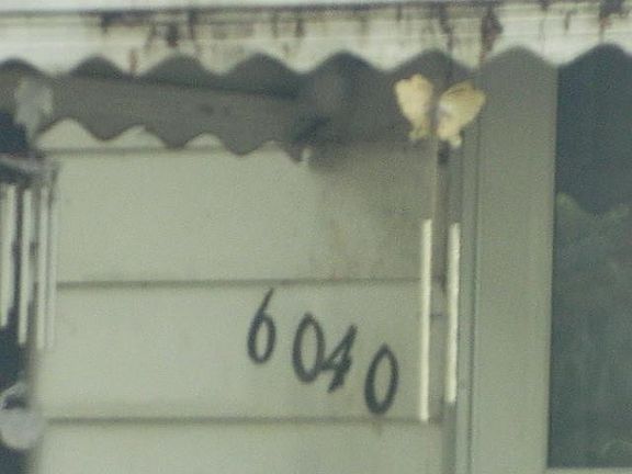 4th image of 6040 Wilkie St