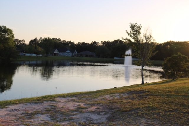Back Yard, Facing West.