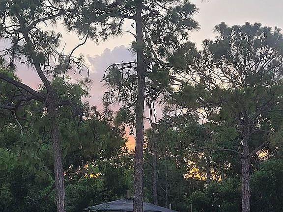 4th image of 8817 Whispering Pines Dr