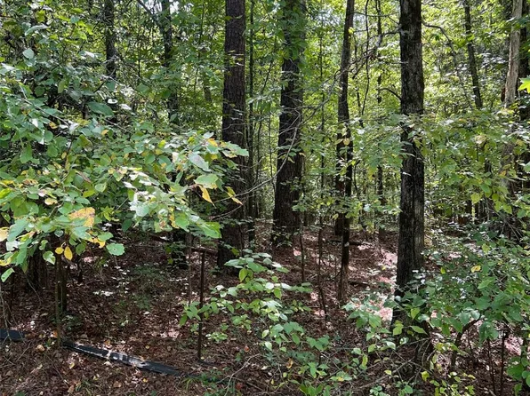 Sanctuary Ln, Lilesville, NC 28091