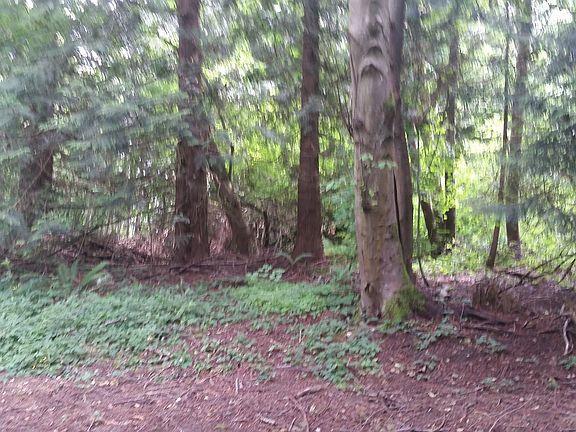 Your own Private Forest