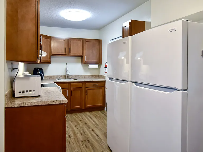 Dual refrigerators