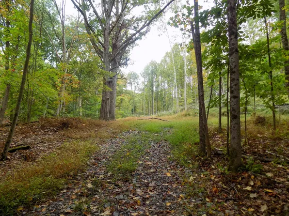 96 Comfort Rd, Fairmont, WV 26554