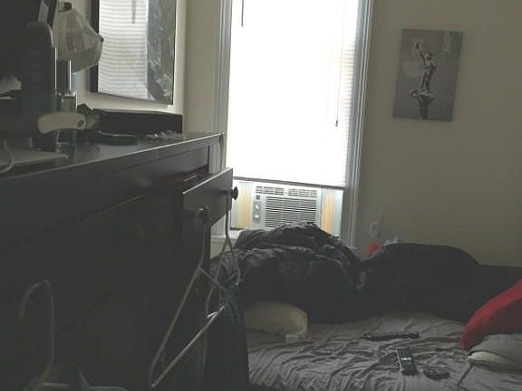 5th image of 239 E 5th St APT 3D
