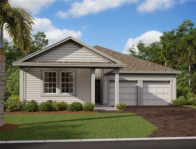 30154 Rustic Mill St, Mount Dora, FL, 32757