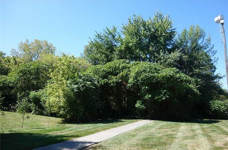 2nd image of 10451 E 79th St