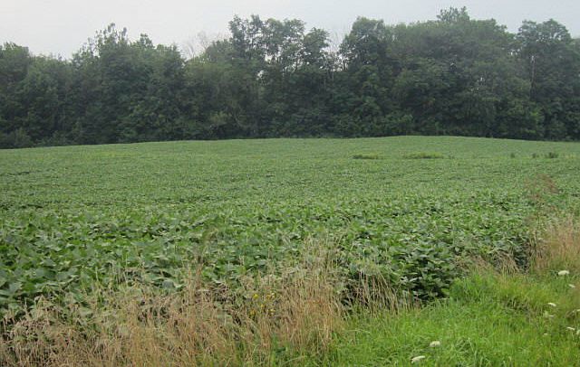 1st image of 105 County Road 530