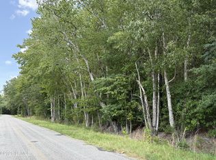 Tbd Cohen Road, Pineland, SC 29934