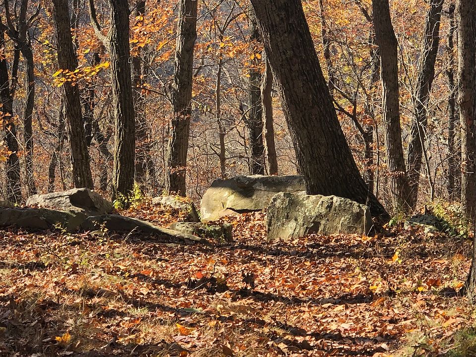 76th image of this home