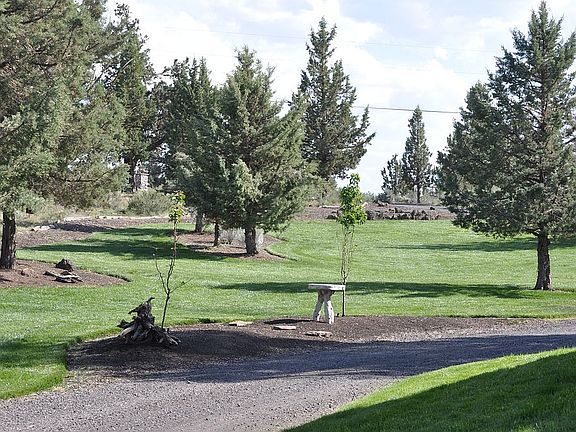 Front yard facing Southeast