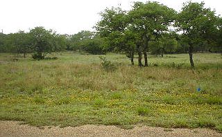 1st image of 260 Big Buck Cir
