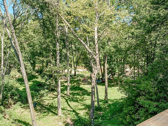 Back deck view