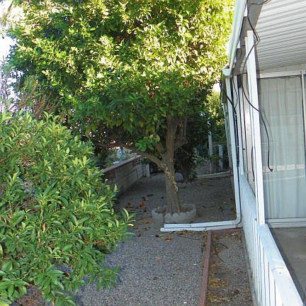 3rd image of 199 W Palma Dr