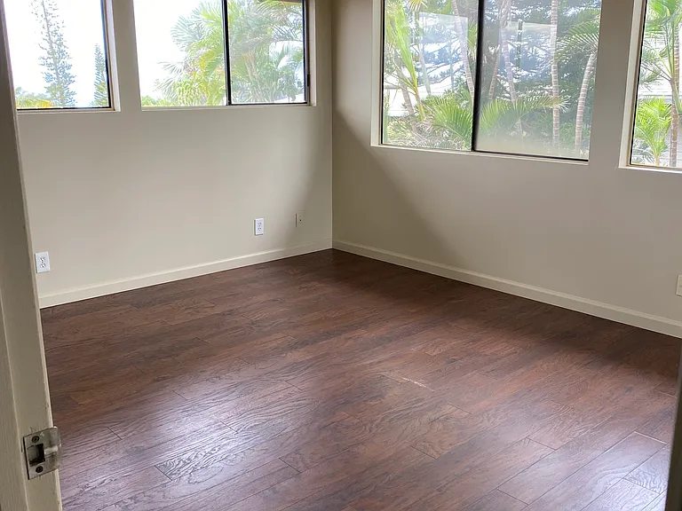 3882 Mahinahina St — Photo 11