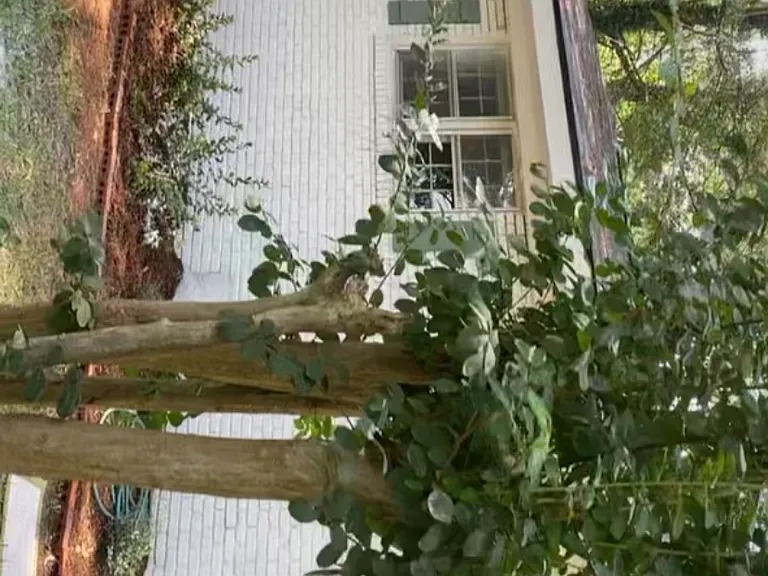 613 Hillcrest Ave — Photo 14