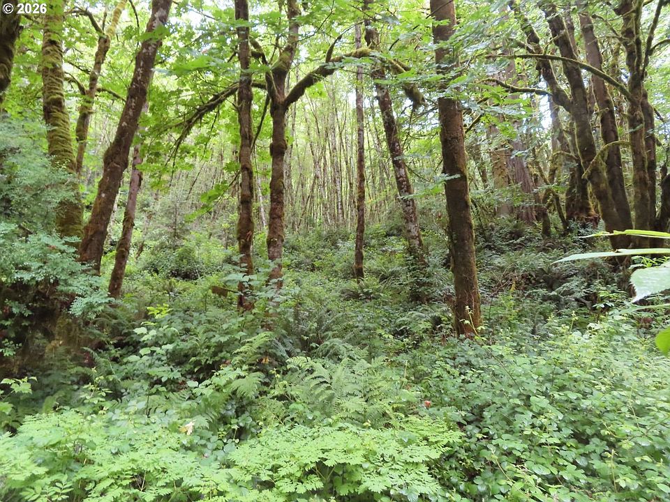 1st image of Sylvan Way