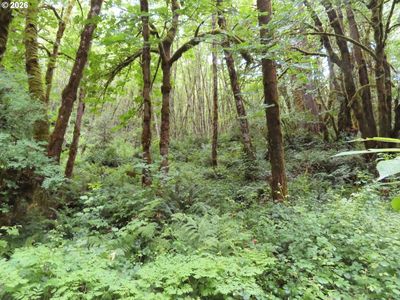 Sylvan Way, Longview, WA, 98632