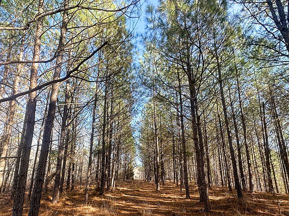 4th image of 0 Indian Creek Rd Lot 2