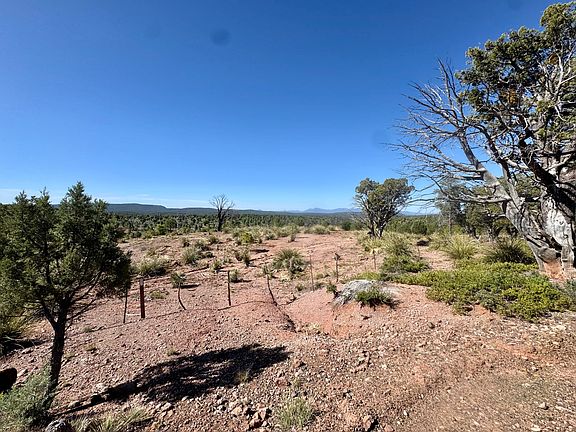 3rd image of 744 E Antelope Trl