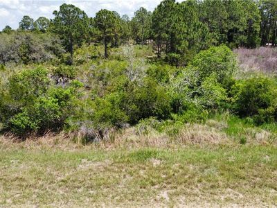 1139 S Witcher Rd, Avon Park, FL, 33825