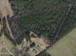 1768 Crooked Run Rd, Willard, NC 28478