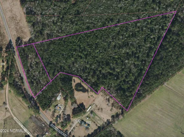17.68 Ac Crooked Run Road, Willard, NC 28478