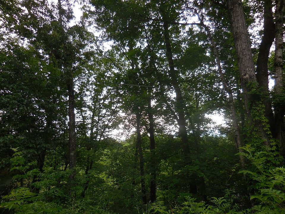 2nd image of LOT 36 Still Rest Rd