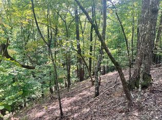 31 Granny Smith Ln, Lake Lure, NC 28746