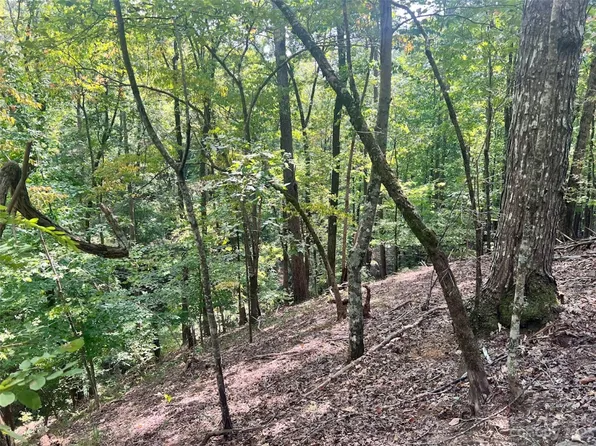 31 Granny Smith Ln, Lake Lure, NC 28746