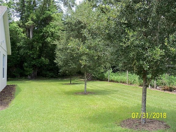 5th image of 1713 Coral Fern Dr