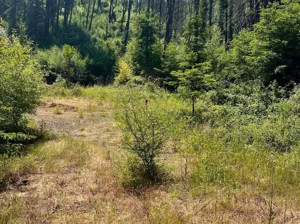 678 Swanton Rd, Davenport, CA 95017