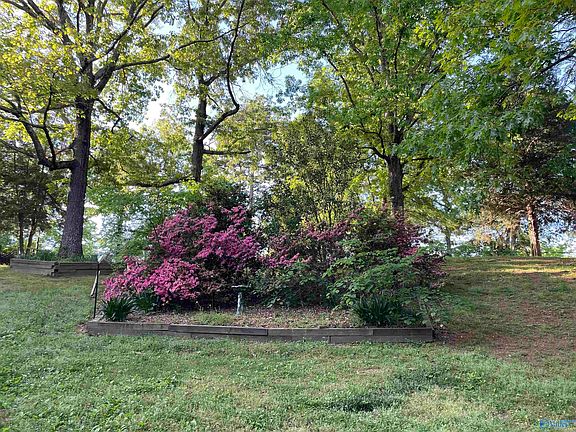 5th image of 595 County Road 40