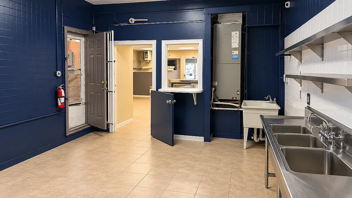 Studio, 1300 sqft, $3,000 — Photo 4