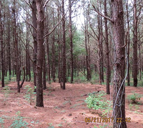 4th image of 20 Acres Cir #440