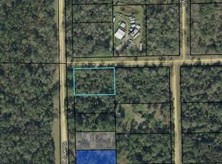 6665 Walnut Ave, Bunnell, FL 32110