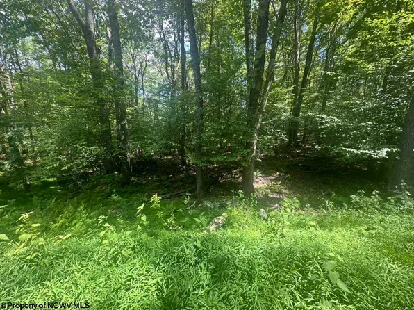 222 Woodbine Dr, Terra Alta, WV 26764