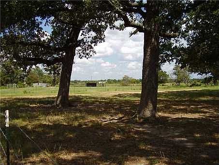1st image of 1035 County Road 445