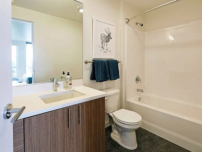Rooster Apartments — Photo 5
