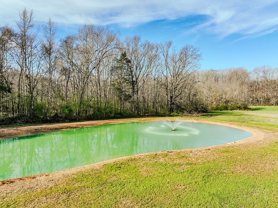 13th image of this home