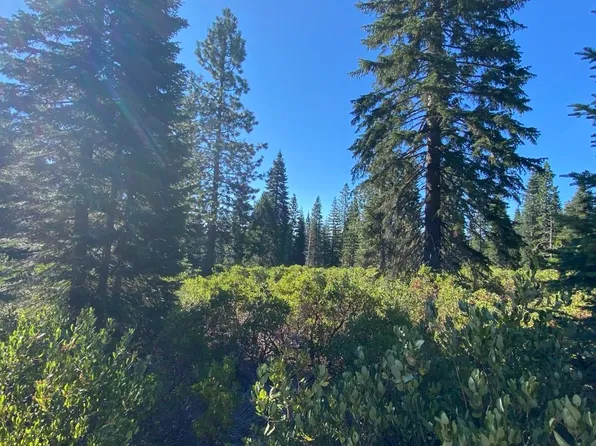 4-E-24 Ridge Dr, McCloud, CA 96057
